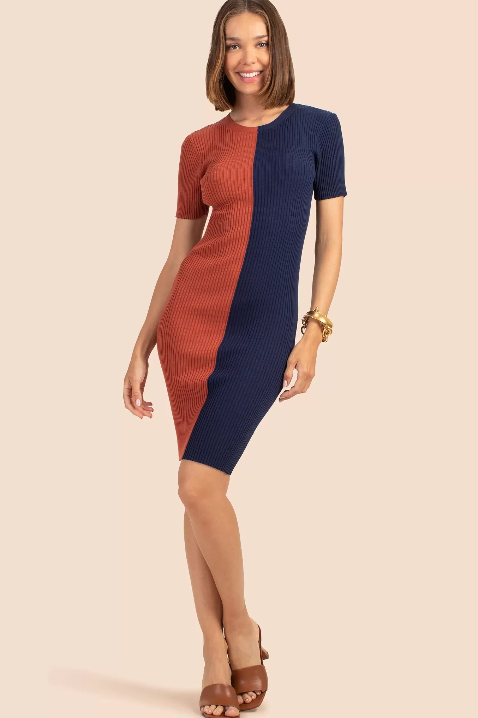 Women Trina Turk Vivika Dress