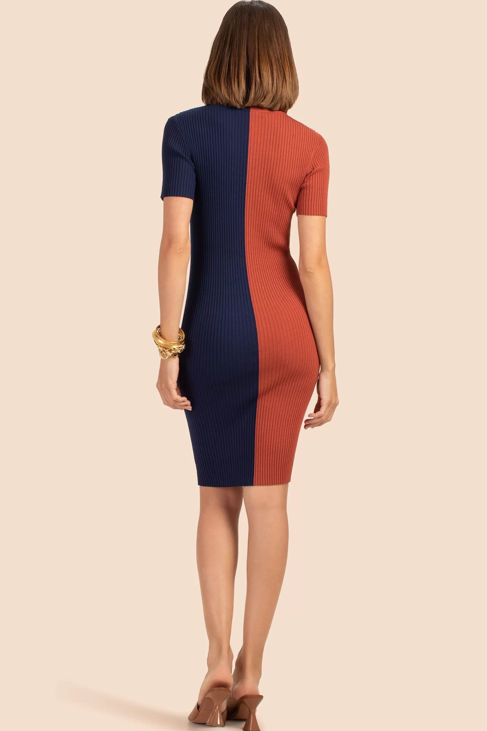 Women Trina Turk Vivika Dress